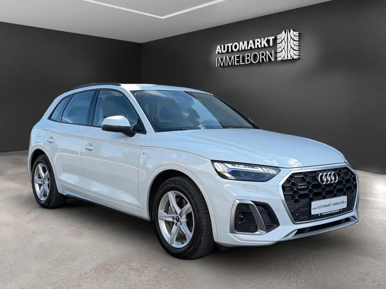 Audi Q5 qu  S line Matrix*Kamera*Virtual*ACC*Luftfede