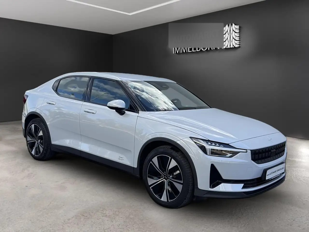 Polestar 2 Long Range Single 19*Kamera*LED*Memory*Navi+