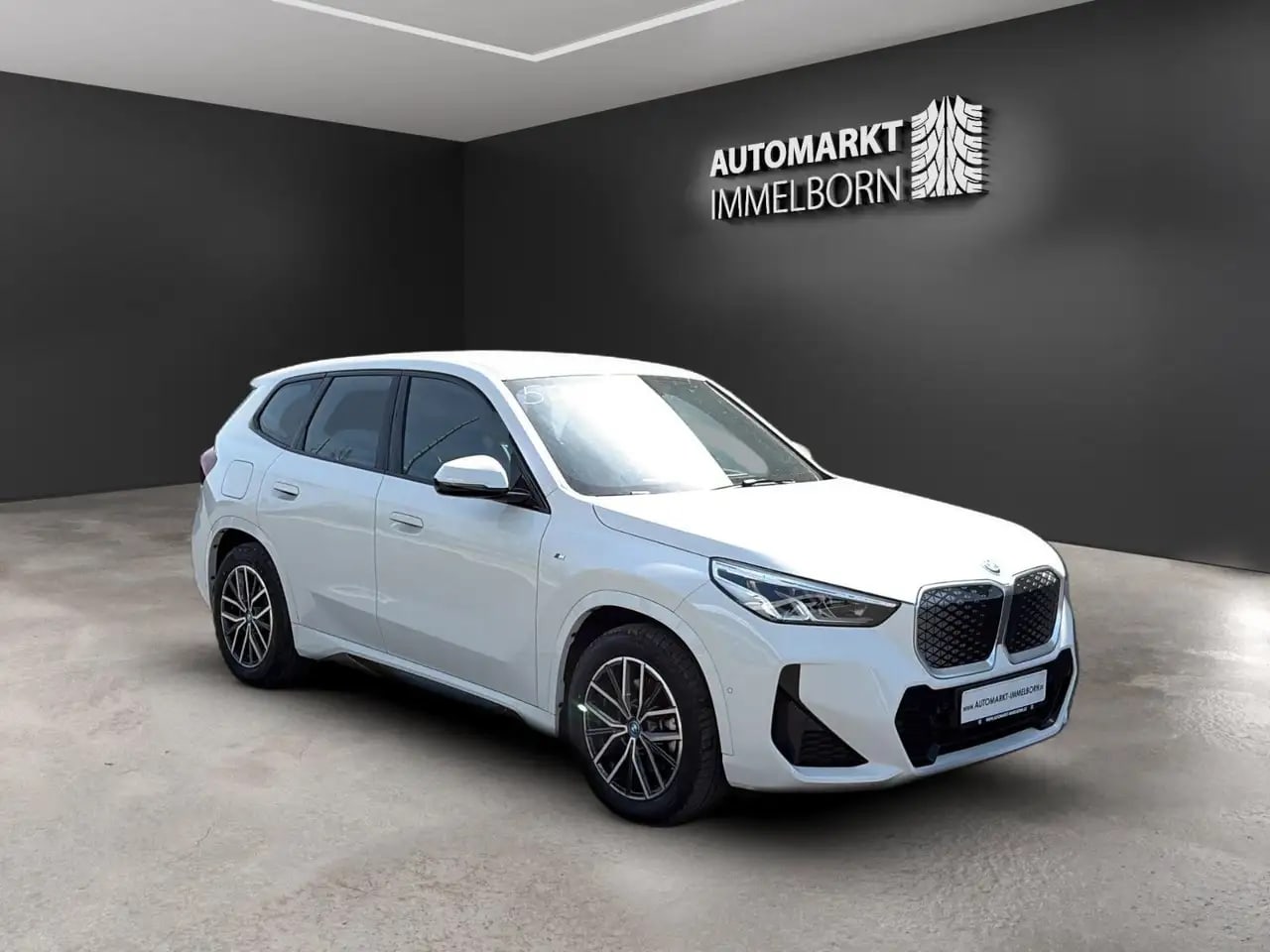 BMW iX1 30 xDrive M Sport LED*Navi+*Alcant*SOH 99,1% 3